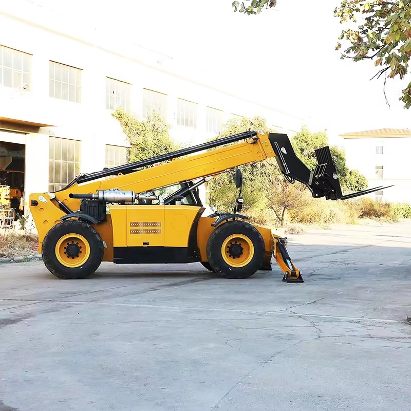 Customized Telescopic Handler  - đánh giá và giá Telescopic Handler Boom