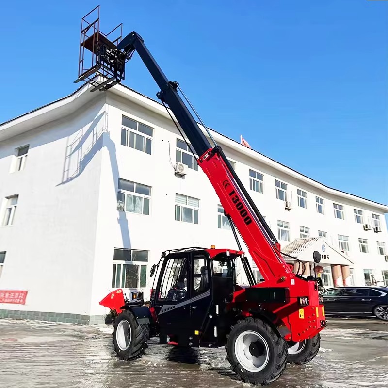 Customized Multi-Purpose Teles - đánh giá và giá Telescopic Handler Boom