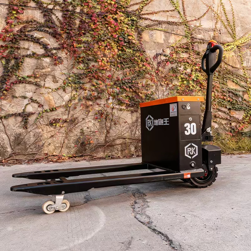 Two-Wheeled Off-Road Electric  - đánh giá và giá Electric Forklift