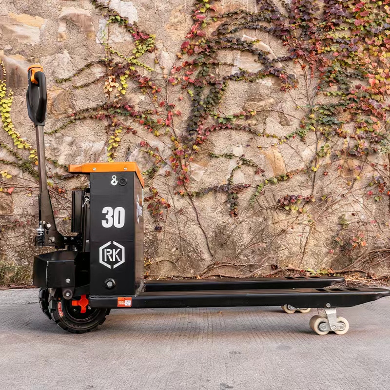 Two-Wheeled Off-Road Electric  - đánh giá và giá Electric Forklift