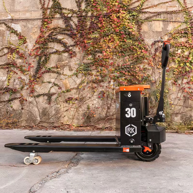 Two-Wheeled Off-Road Electric  - đánh giá và giá Electric Forklift